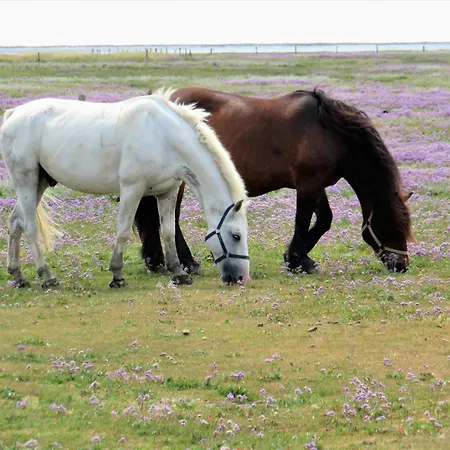 דירה Uns To Hus Sandplaat *